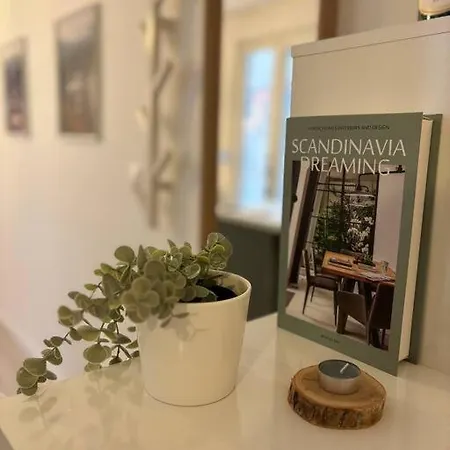 Le Cocon Scandinavo-champenois * Reims