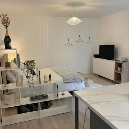 Apartment Le Cocon Scandinavo-champenois *