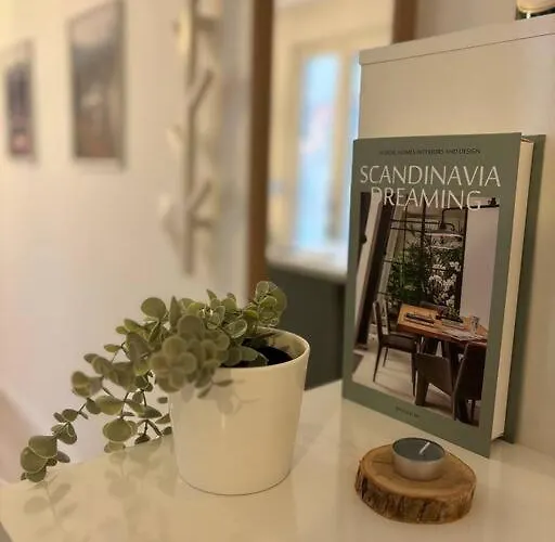 Le Cocon Scandinavo-champenois * Reims