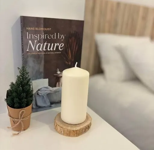 Le Cocon Scandinavo-champenois * Reims